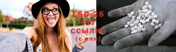 мяу мяу мука Сосновоборск