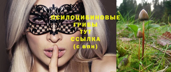 первитин Сосновка