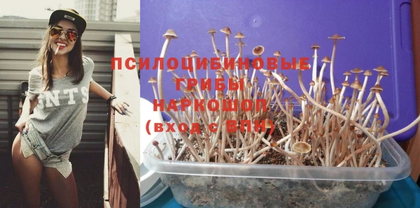 прущая мука Сосновый Бор