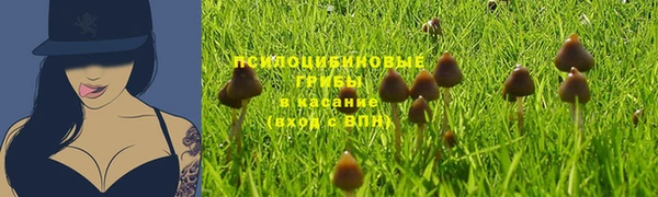 мяу мяу мука Сосновоборск